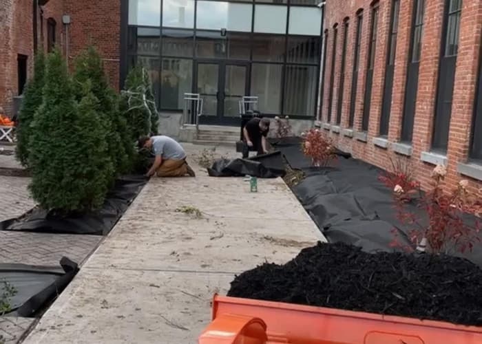 Landscaping