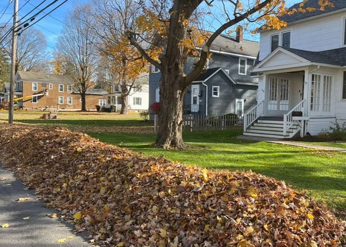 Cleanouts & Debris Removal